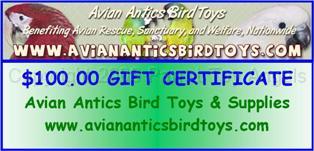 aviananticsGift Certificate PTA.jpg - Avian Antics Gift Certificate